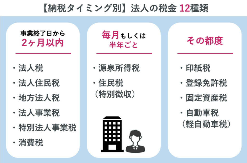 【税理士監修】法人の税金12種類!支払い時期から計算例まで全攻略